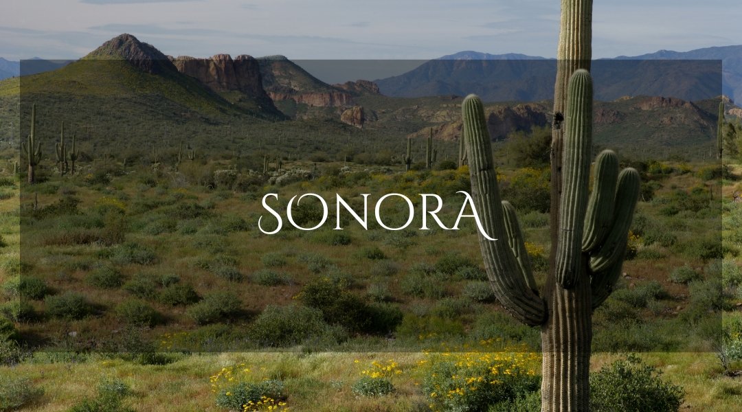 SONORA