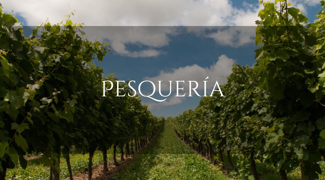 PESQUERÍA