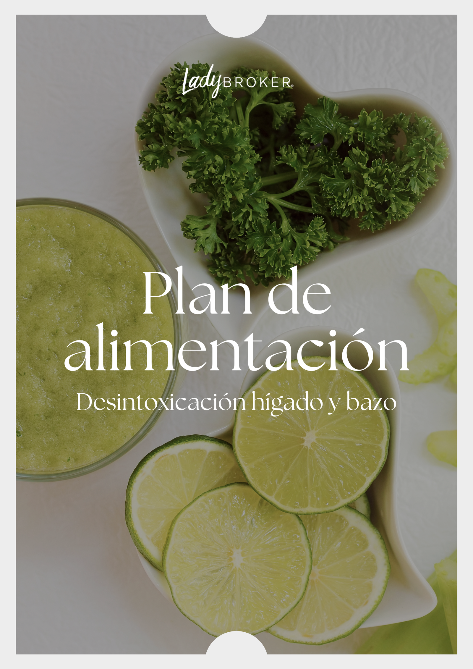 PLAN DE ALIMENTACIÓN